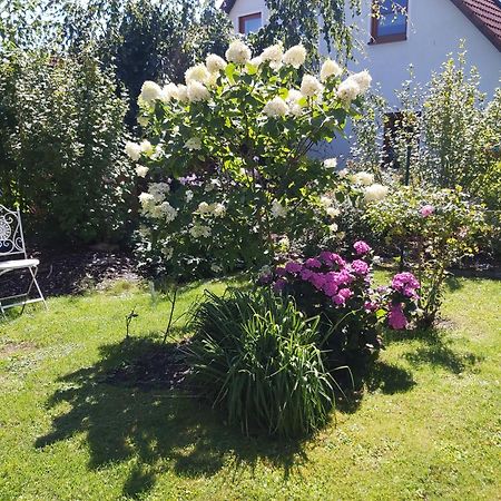 Waldwinkel Daire Treuchtlingen Dış mekan fotoğraf