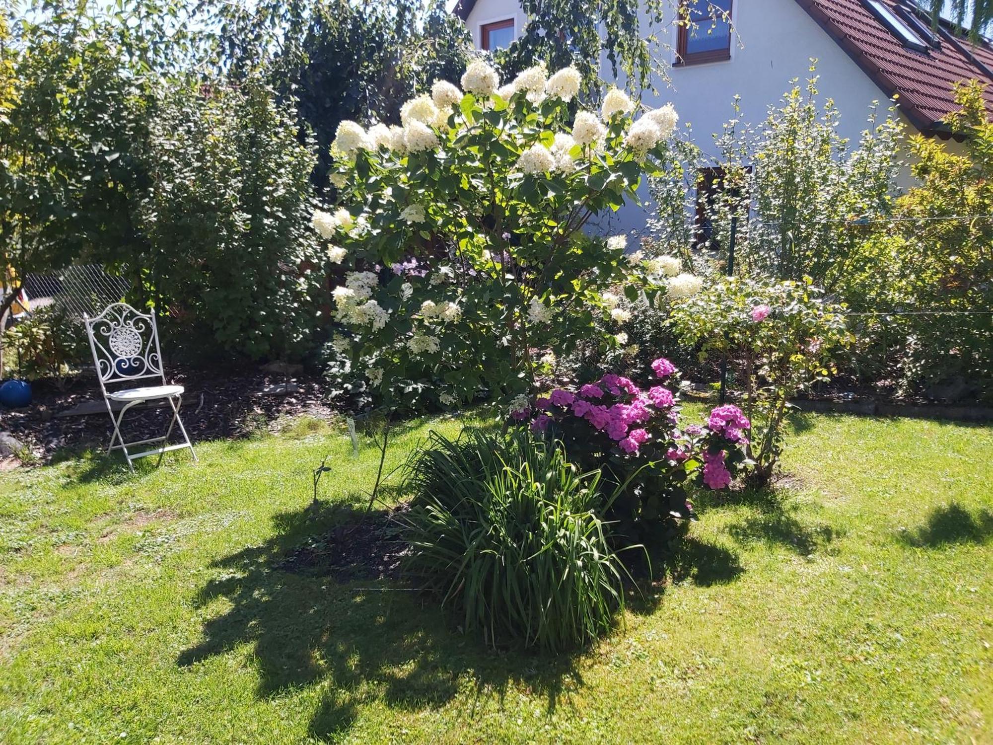 Waldwinkel Daire Treuchtlingen Dış mekan fotoğraf